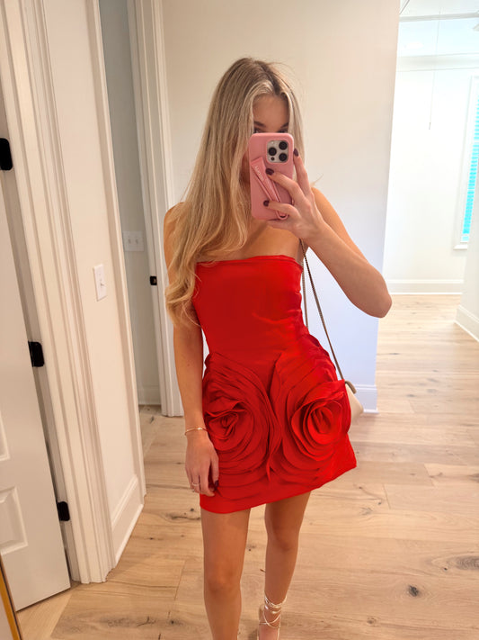 Roses Red Mini Dress